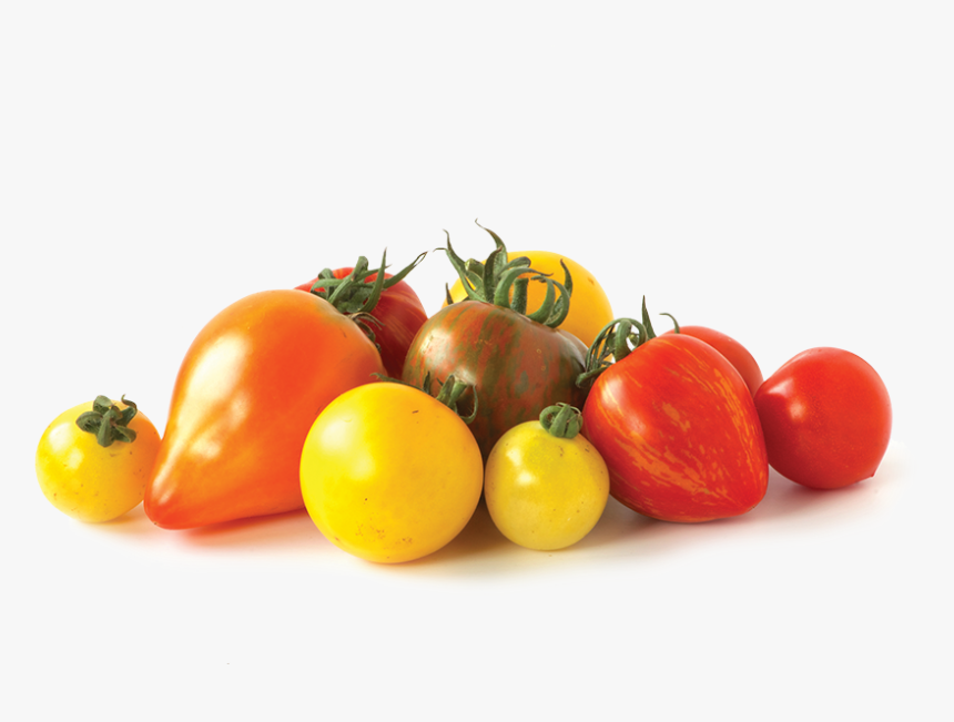 Plum Tomato, HD Png Download, Free Download