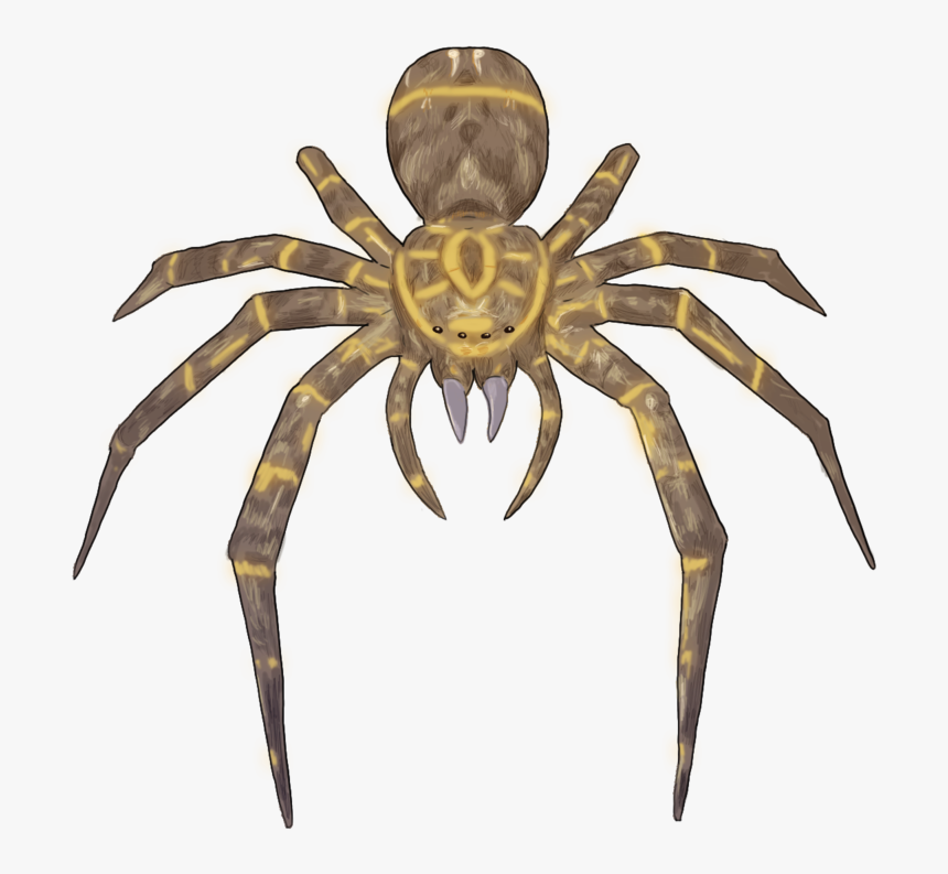 Spider - Insect, HD Png Download, Free Download