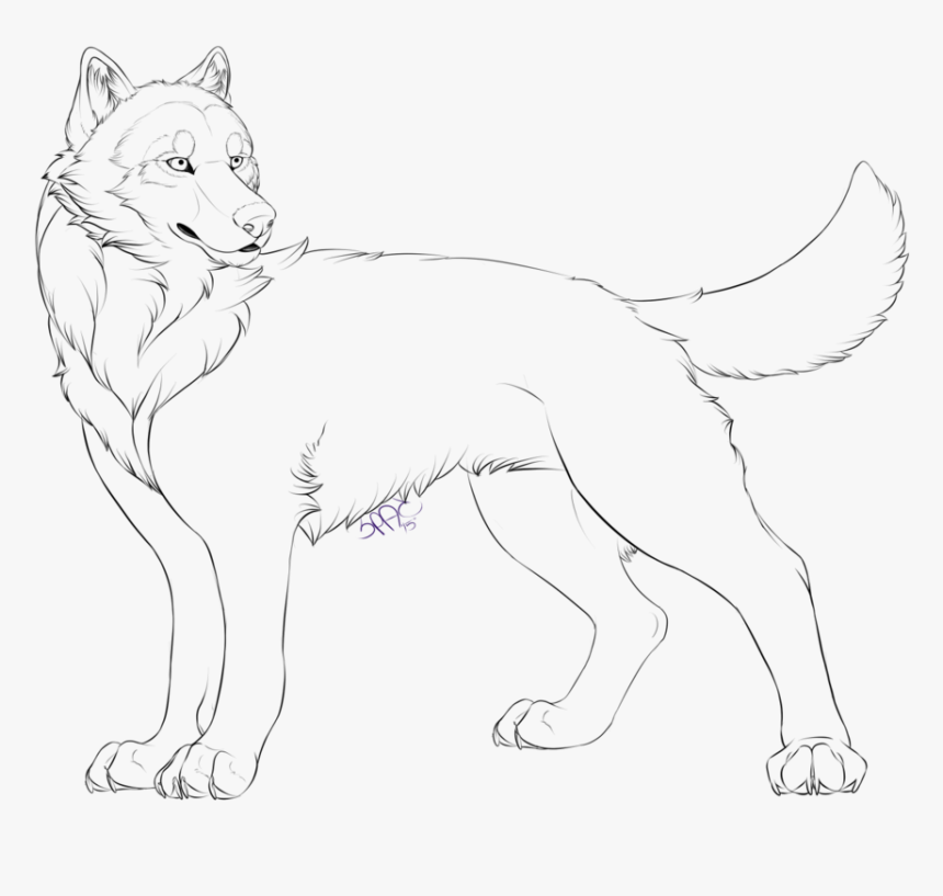 Free Wolf Lines "2015 - Line Art, HD Png Download, Free Download