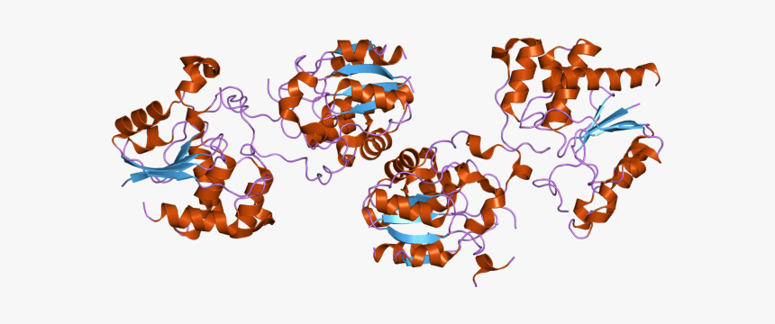 Pdb 2c46 Ebi - Illustration, HD Png Download, Free Download