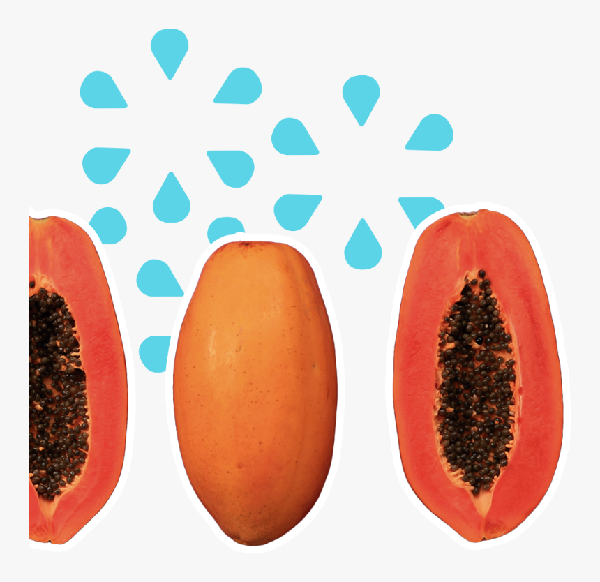 Papaya, HD Png Download, Free Download