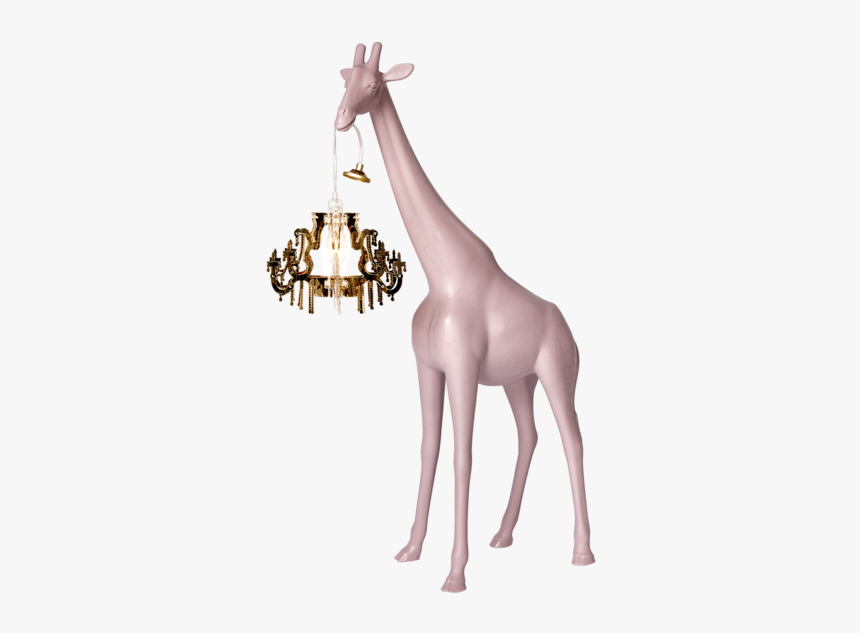 Giraffe In Love, HD Png Download, Free Download