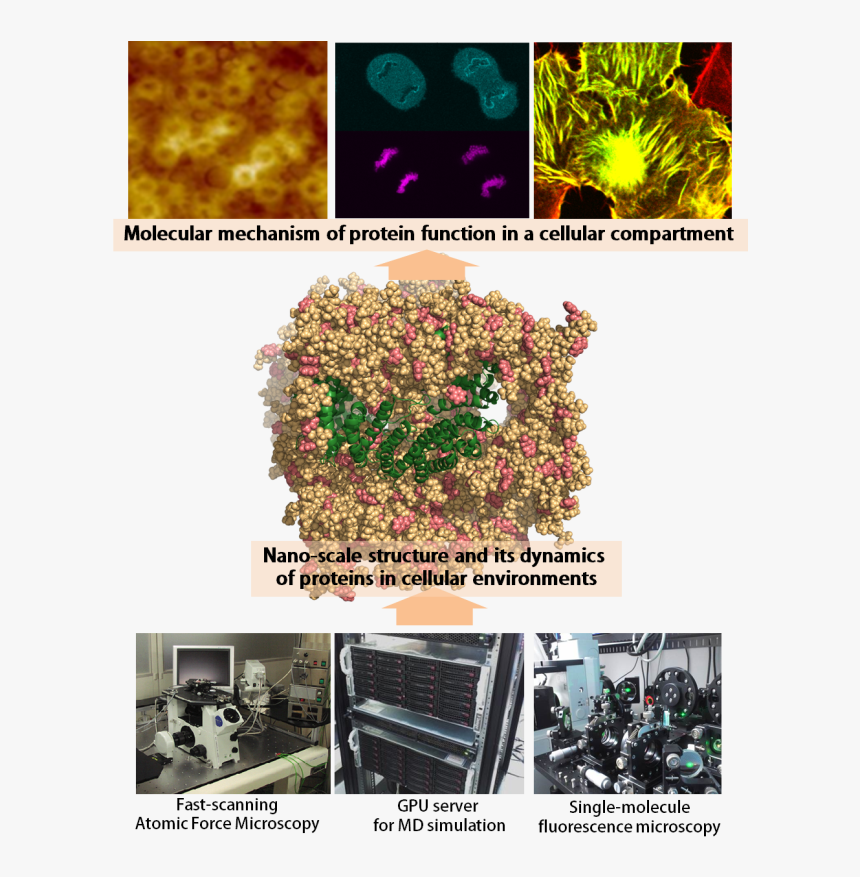 Atomic Force Microscope Kyoto University, HD Png Download, Free Download