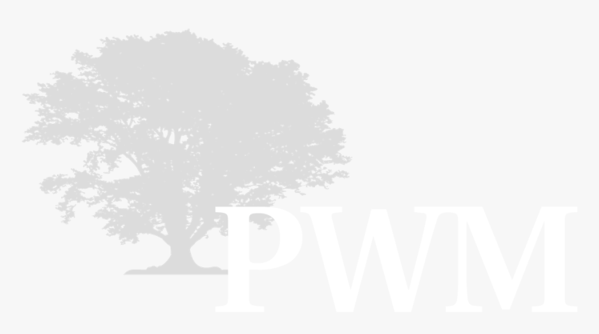 Pwm Planning - Private Wealth Management, HD Png Download, Free Download