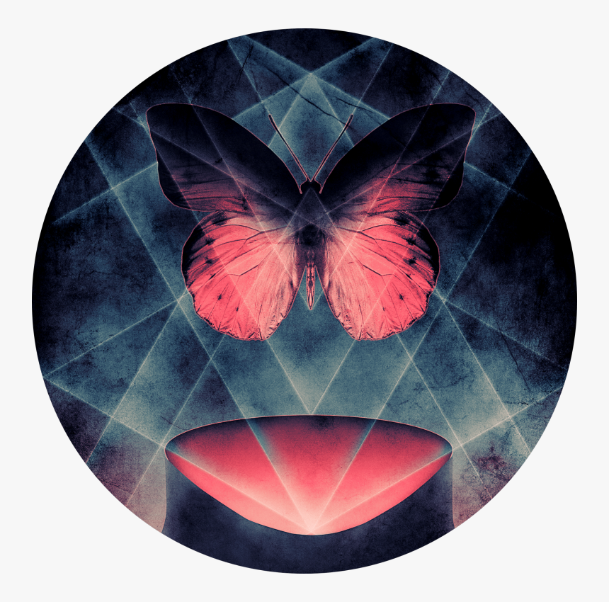 Butterfly Symmetry, Surrealism, Surreal, Butterfly, - Circle, HD Png Download, Free Download