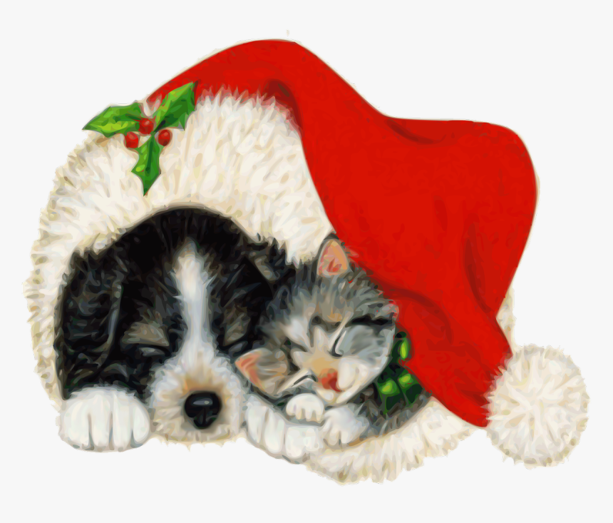 Perro, Gato, Pet, Animal, Navidad, Rojo, Durmiendo - Cat And Dog Christmas Cards, HD Png Download, Free Download