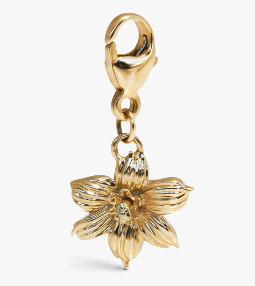 Yellow Gold Bermudiana Charm For Jewelry - Chain, HD Png Download, Free Download