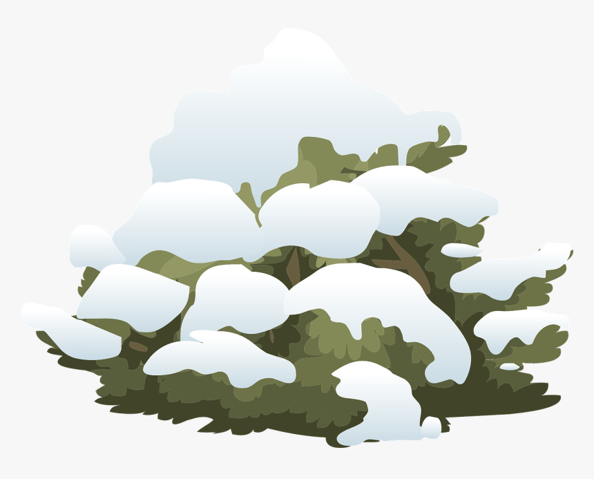 Bush With Snow Clipart, HD Png Download, Free Download