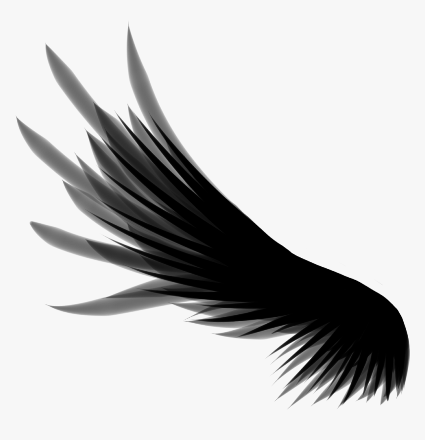 Wings Png - Wing Png, Transparent Png, Free Download