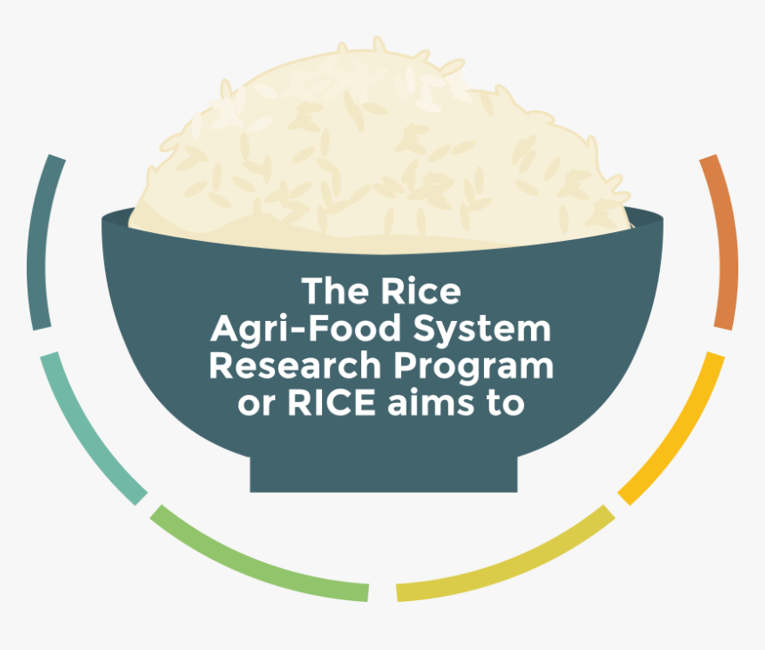 Rice Agri Food System Research Program, HD Png Download, Free Download