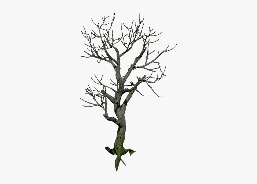 Tree, Isolated, Digital Art, Mystical - Mystical Tree Png, Transparent Png, Free Download