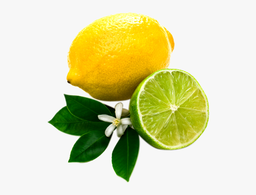 Lemon Png Image With Leaf And Slice - Natural Estogen Blockers For Woman, Transparent Png, Free Download