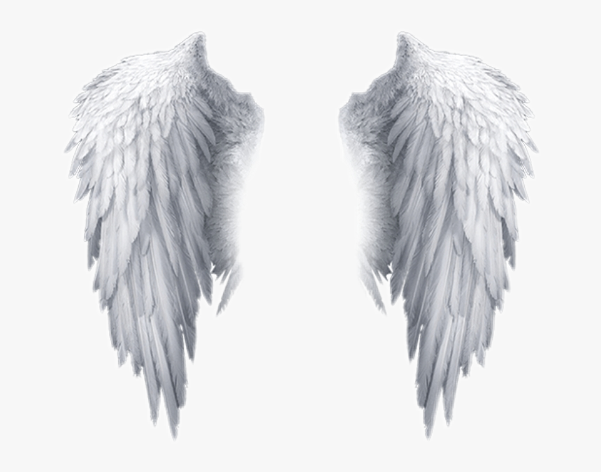 White Angel Wings Transparent Background, HD Png Download, Free Download