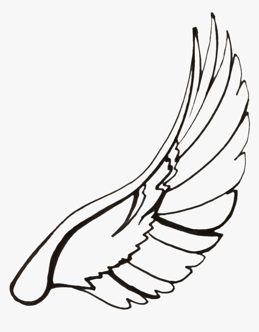 Wings Line Drawing At - Wings Line Drawing Png, Transparent Png, Free Download