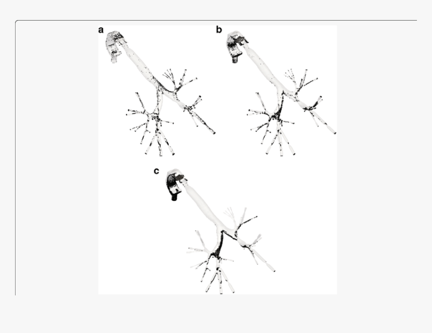 Particles Position After The End Of The Inhalation - Drawing, HD Png Download, Free Download