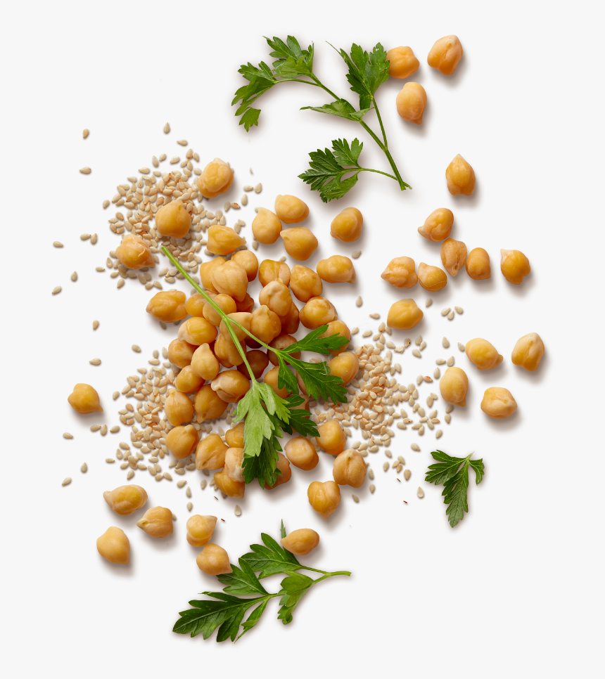 Sabra Story - Chickpea Png Free, Transparent Png, Free Download