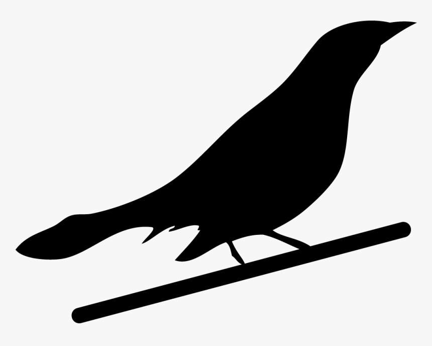 Blackbirds - Illustration, HD Png Download, Free Download