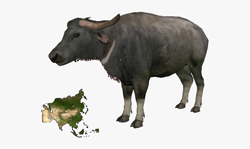 Asian Buffalodd - Portable Network Graphics, HD Png Download, Free Download