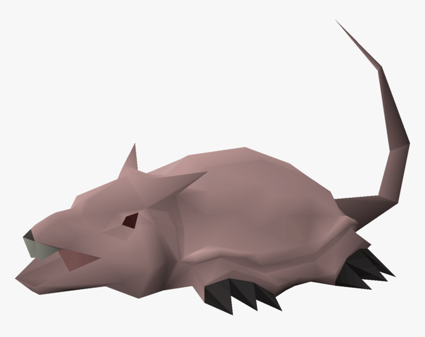 Brine Rats Osrs, HD Png Download, Free Download