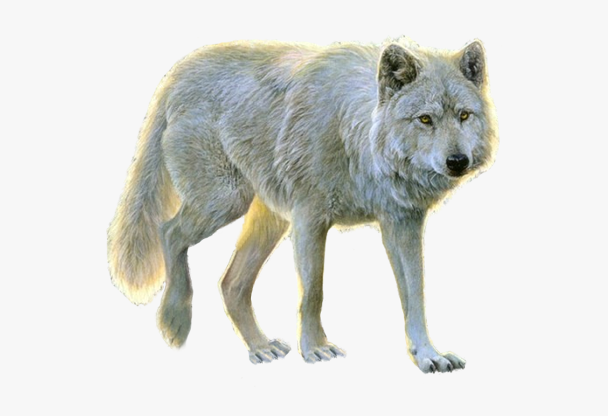 Wolf Icon Png - Transparent Background White Wolf Png, Png Download, Free Download