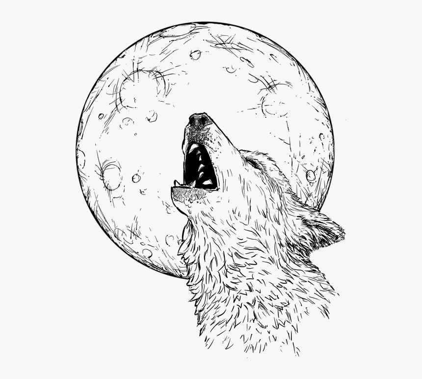 Wolf Howling At Moon - Line Art, HD Png Download, Free Download