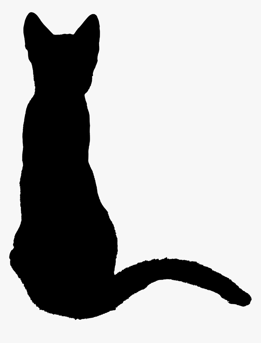 Download File Kitten 1370737 Svg Black Cat Sitting Back Back Of Cat Silhouette Hd Png Download Kindpng