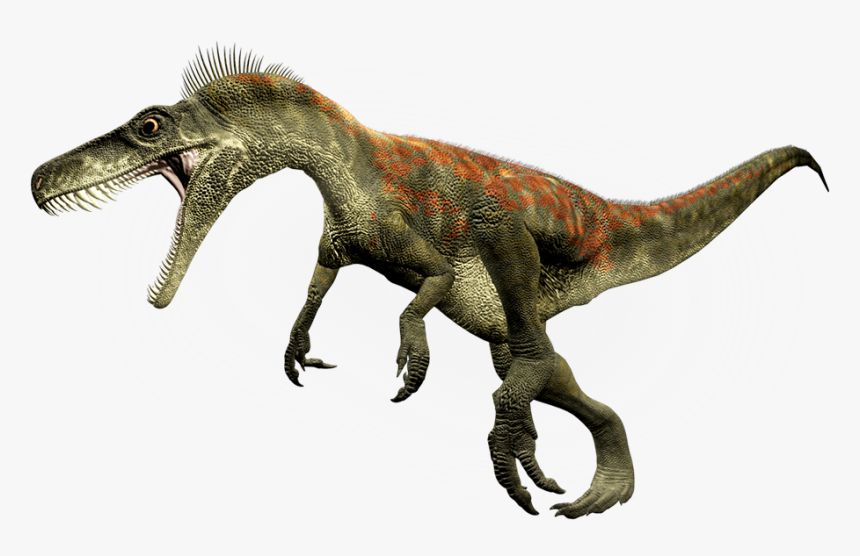 Dinosaur Png - Staurikosaurus Png, Transparent Png, Free Download