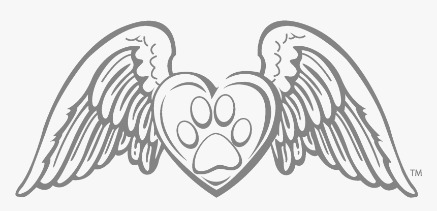 Back Home - Angel Wings With Paw Print, HD Png Download, Free Download