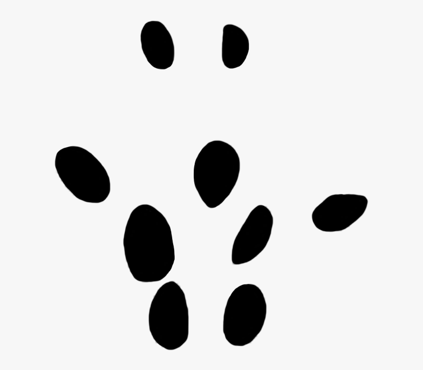 Field Vole Paw Print 10 Mm, HD Png Download, Free Download