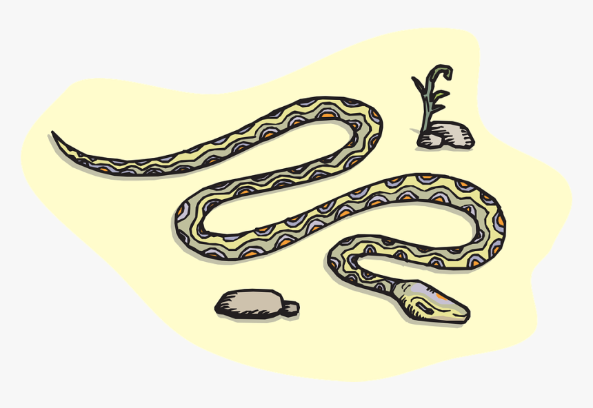 Snake, Sand, Rocks, Desert, Reptile, Sprout, Slithering - Sand Snake Cartoon, HD Png Download, Free Download