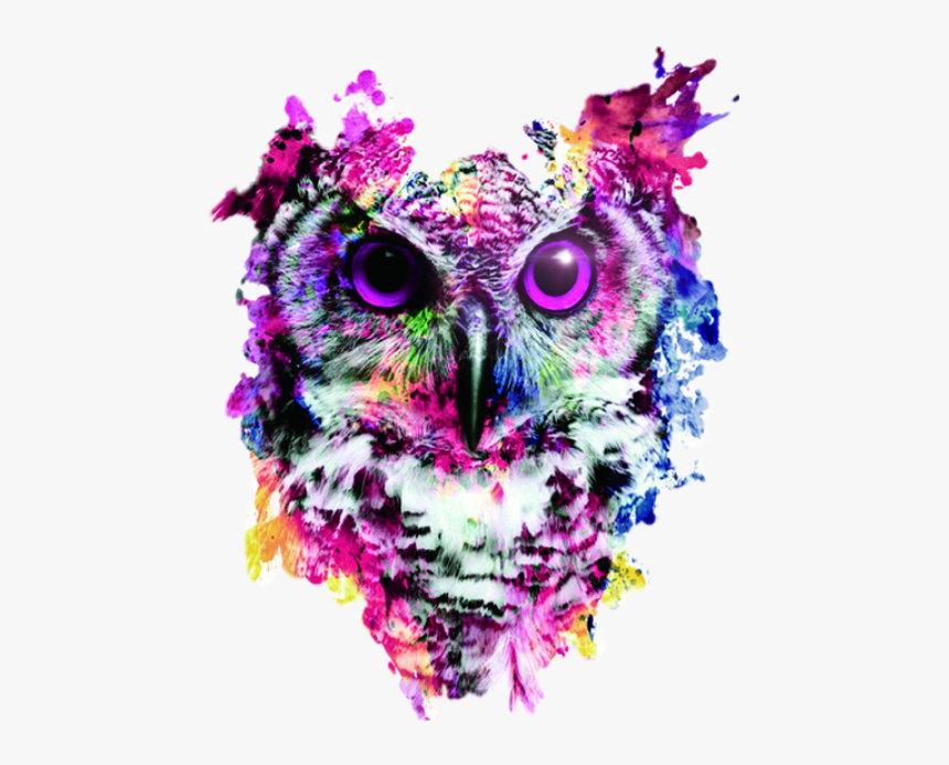 Owl Canvas, HD Png Download, Free Download