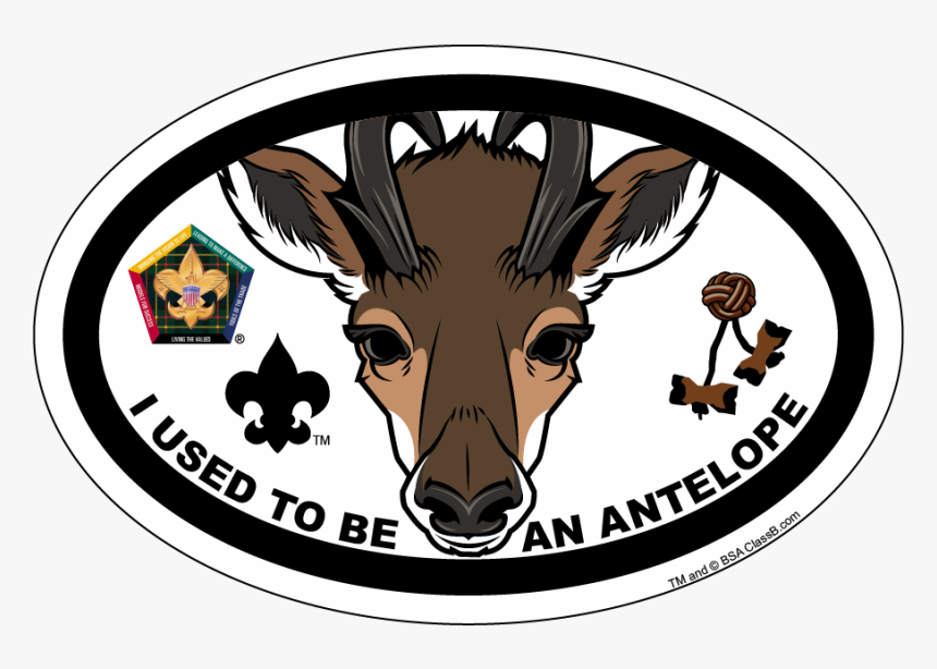 Wood Badge Fox, HD Png Download, Free Download