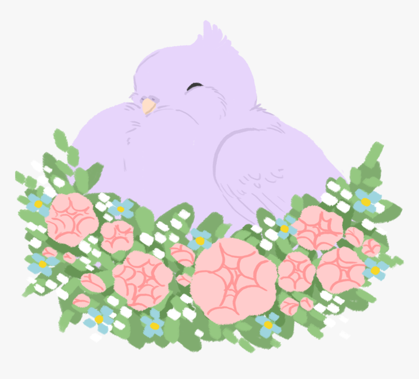 Pudgy Pigeons Lizzywhimsy Have - Columbidae, HD Png Download, Free Download