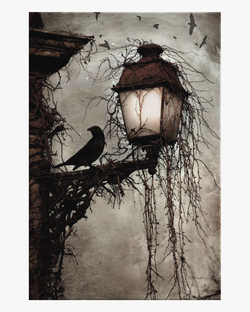 The Myths Of Time - Crow On Lamppost, HD Png Download, Free Download