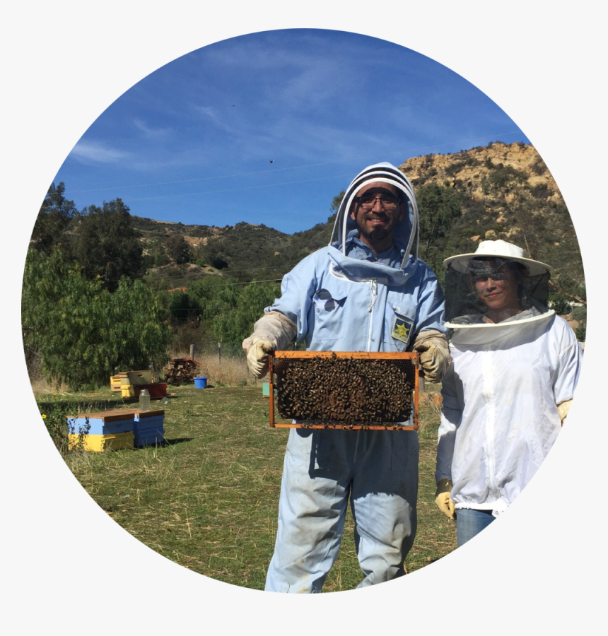 Beeyard3 - Honeybee, HD Png Download, Free Download