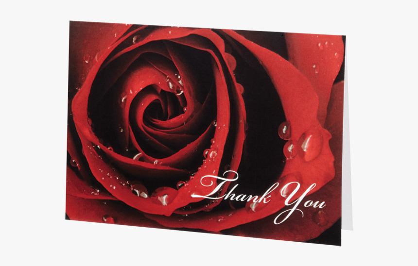 Who To Thank - My Love Is Like A Red Red Rose, HD Png Download, Free Download