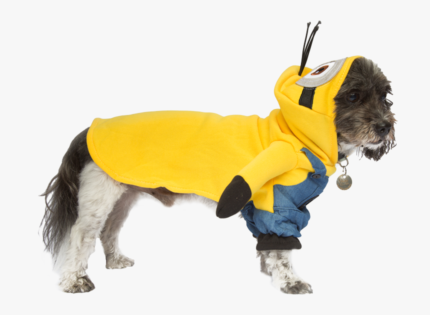 Minions Dog Coat, HD Png Download, Free Download