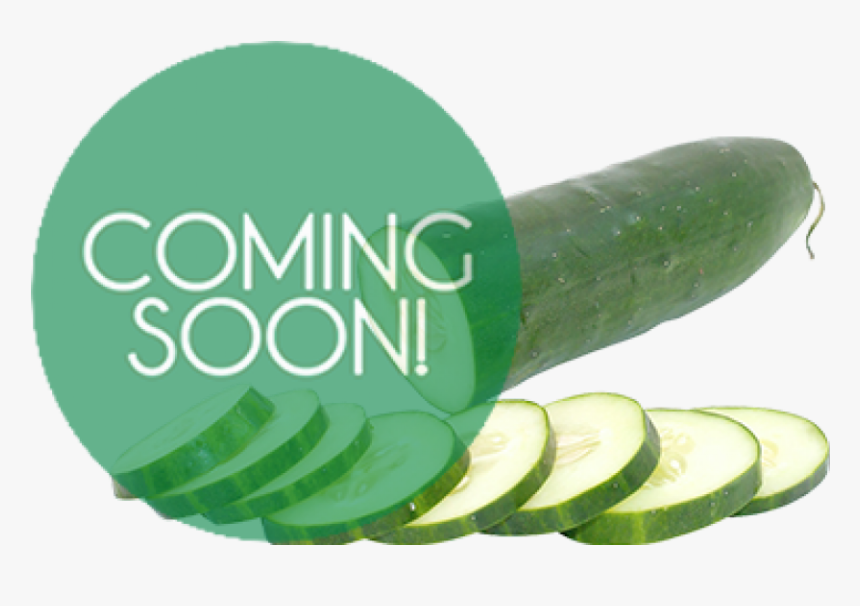 Cucumbers - Coming Soon, HD Png Download, Free Download