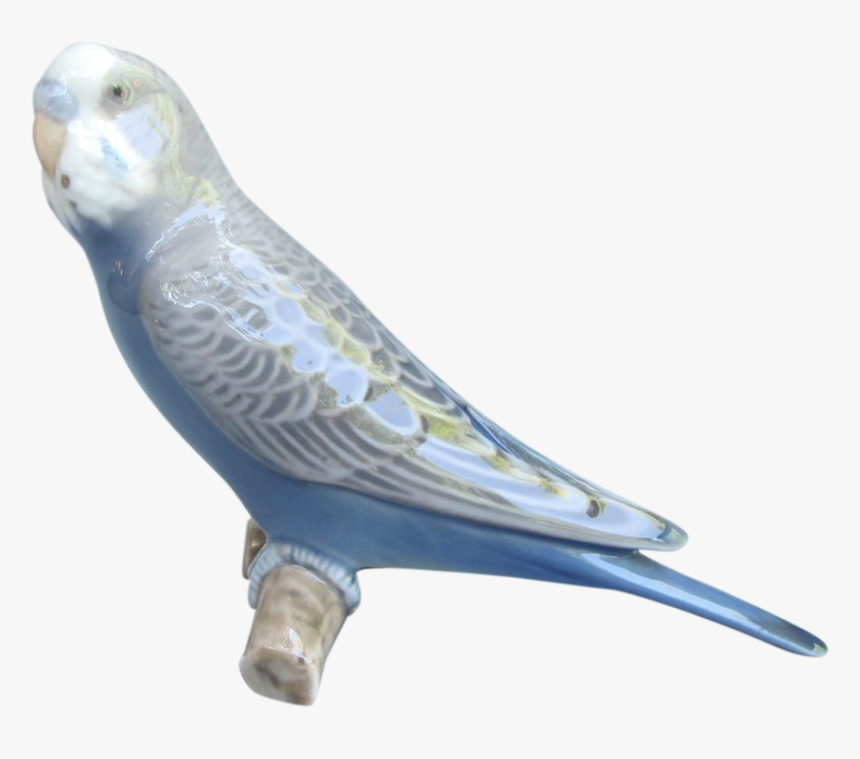 Budgie, HD Png Download, Free Download