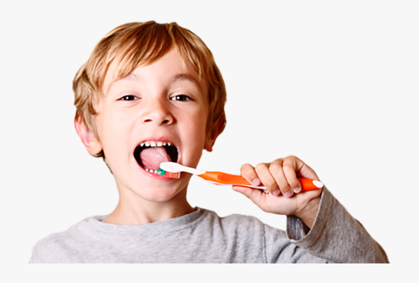 Best Dental Clinic In Kolkata - Someone Brushing Their Teeth Png, Transparent Png, Free Download