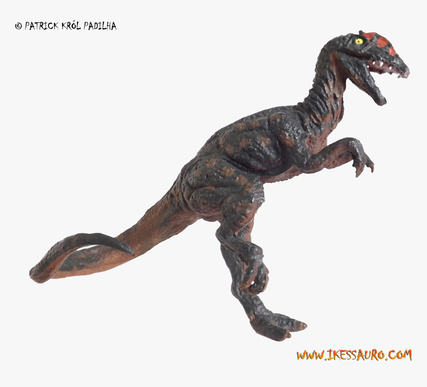 Velociraptor, HD Png Download, Free Download