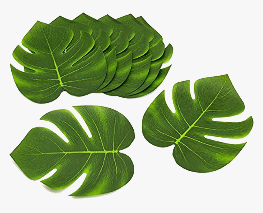 Hawaiian Party Decorations , Png Download - Moana Flowers And Leaves, Transparent Png, Free Download