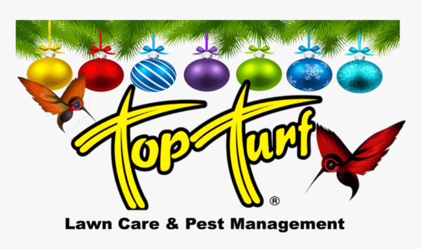 Top Turf , Png Download - Top Turf, Transparent Png, Free Download