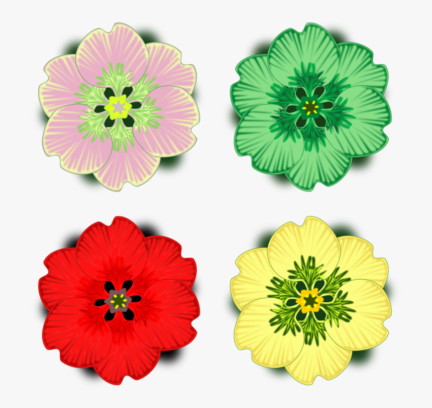 Flower,petal,daisy Family - Common Zinnia, HD Png Download, Free Download