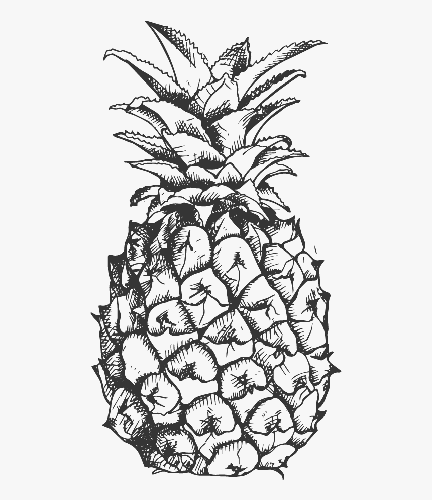 pineapple clipart fancy pineapple vector black and white hd png download kindpng pineapple clipart fancy pineapple