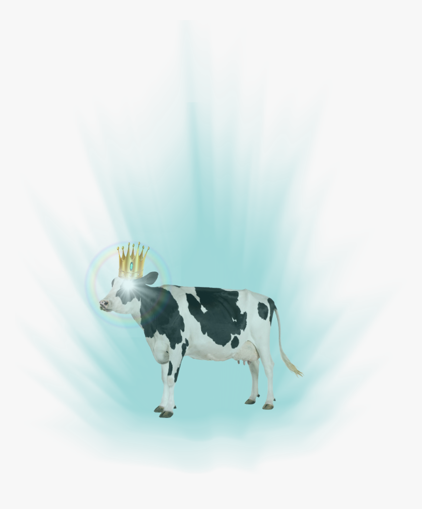 Joke Battles Wiki - Transparent Cow, HD Png Download, Free Download