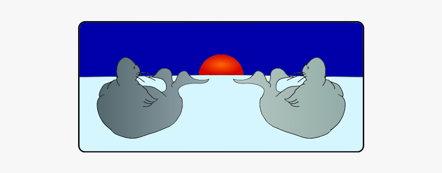 Seals In The Sunset - Bocce, HD Png Download, Free Download