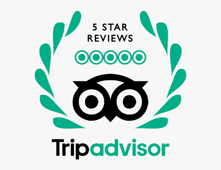 Trip-advisor - Graphic Design, HD Png Download, Free Download