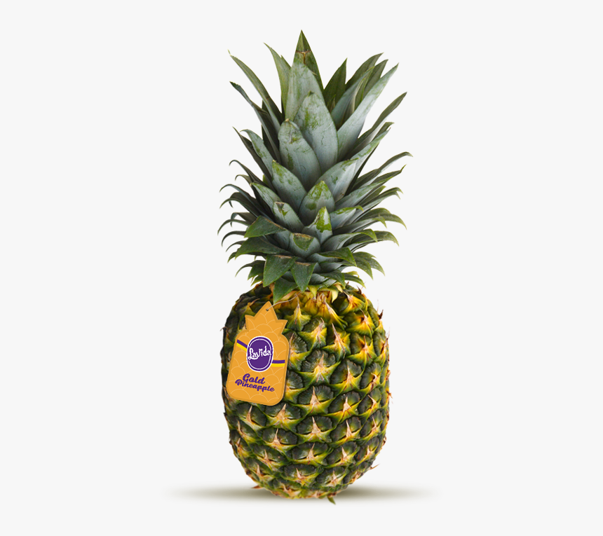 Pineapple, HD Png Download, Free Download