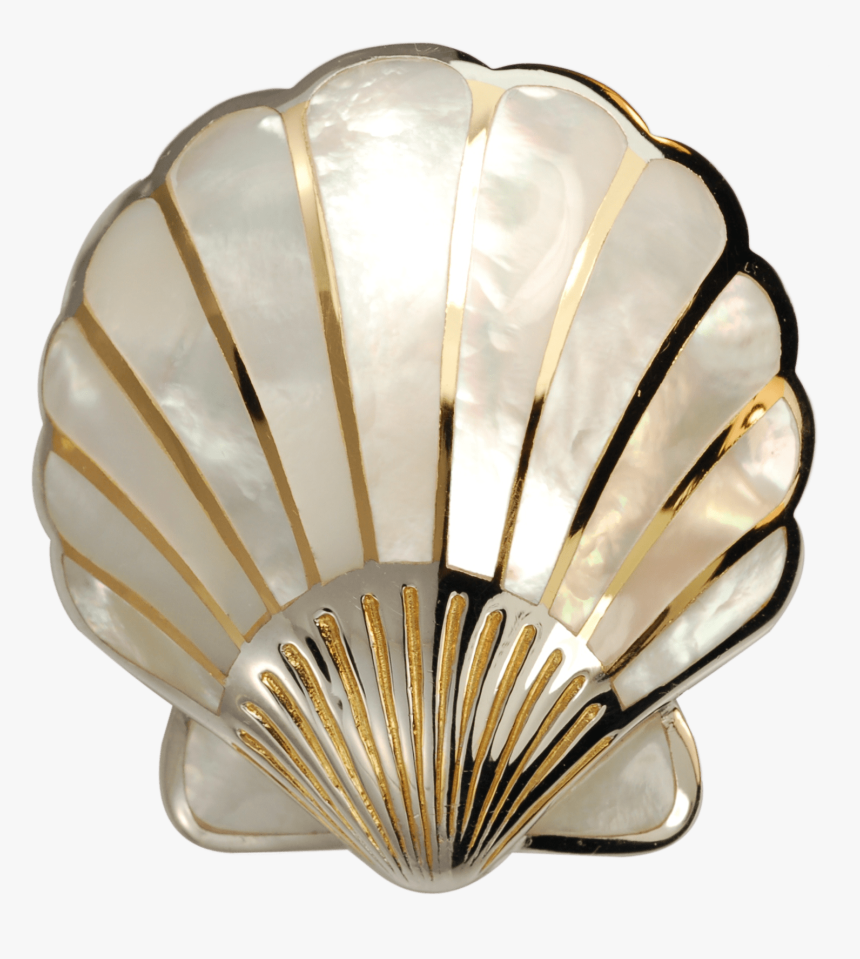 Yo Mother Of Pearl Scallop Shell - Nacre, HD Png Download, Free Download